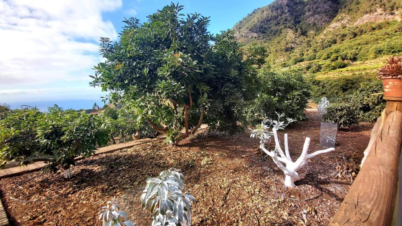 Casa Rural La Resbala - Casa Verde La Orotava Dış mekan fotoğraf